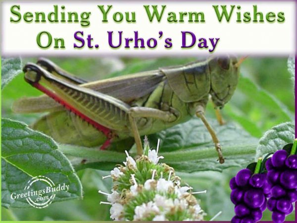 Wishing You A Very Happy St. Urho's Day