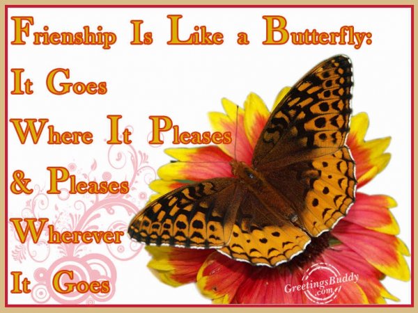 Friendship Is Like A Butterfly